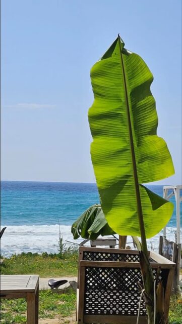 #greece #holiday #corfu #villameraki #nofilter #whatyouseeiswhatyouget